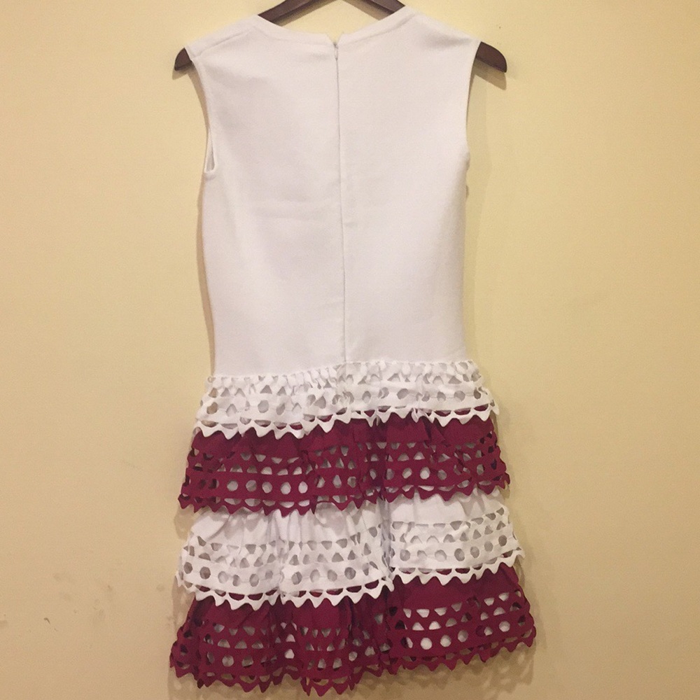 Alaia Vienne Pattern Dress - Picture 5 of 5
